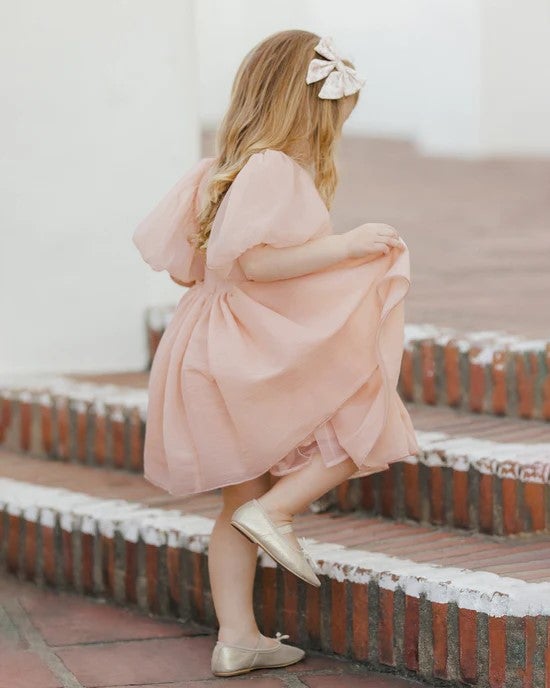 Noralee Blush Sofia Dress – Ladida